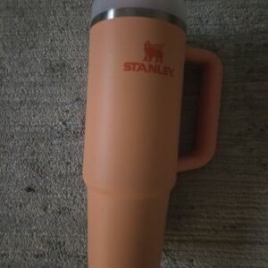 grapefruit colored stanley 30z
